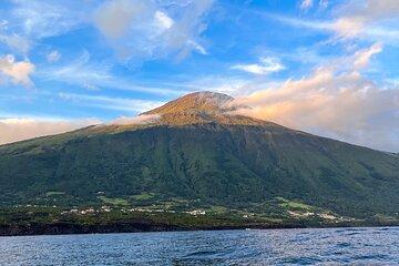 Private Full Day Seafari Boat Experience in the Azores