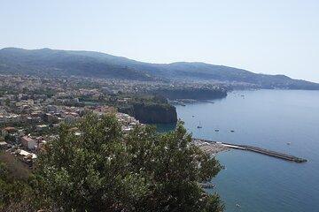Sorrento Private Transfer from Naples with Visit to Pompeii