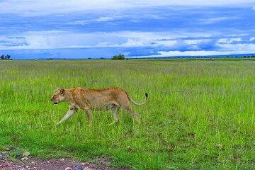Tsavo Express 3Days/ 2Nights ( Comfort)