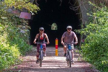Glow Worm Tunnel Evening Guided Tour