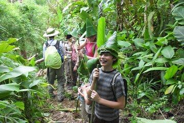 Full Day Trekking & bamboo cooking Tour in Chiang Rai