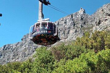 Cape Town: Robben lsland plus Table Mountain Tour