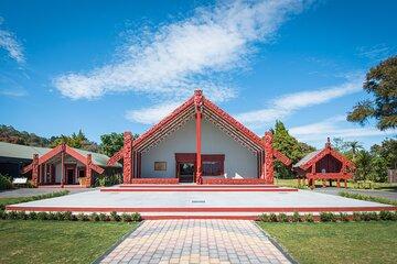Rotorua Cultural Tour with Hangi from Auckland