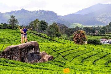 Private Car Charter From Bandung