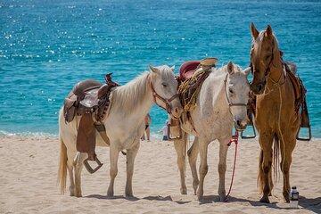 Beach Horseback Riding Adventure in Punta Cana