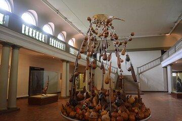 3 Hour Nairobi National Museum and Snake Park Tour