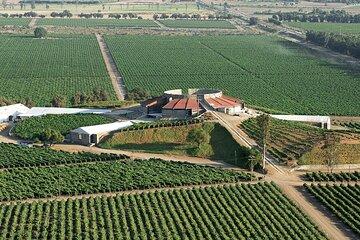 Old Wine Route Tour Experience at Baja California. ALL INCLUSIVE!