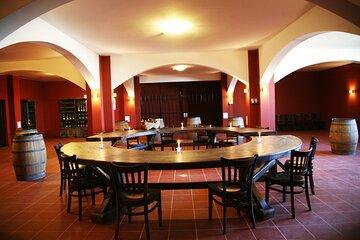 Chateau Burgozone wine tasting and enchanting Danube river view