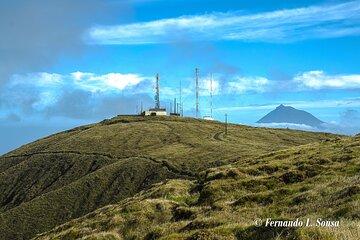 Half Day Faial Island Tour -Local Biologist