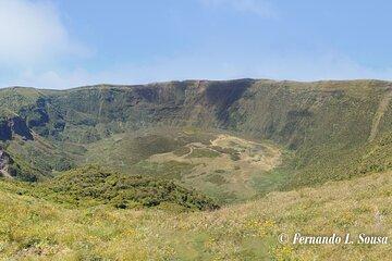 Half Day Faial Island Tour -Local Biologist