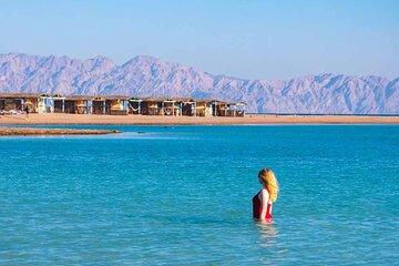 8-hour Dahab: Blue Hole Ras Abu Galum-Blue Lagoon Snorkeling Trip