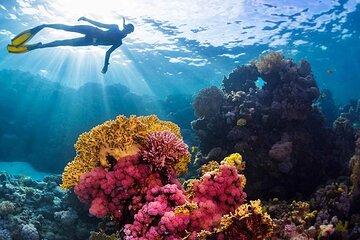 Blue Hole Ras Abu Galum Blue Lagoon Snorkeling Trip From Dahab