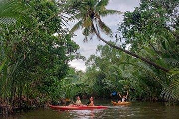 Kampot countryside & kayak tours include pepper farm and Lunch