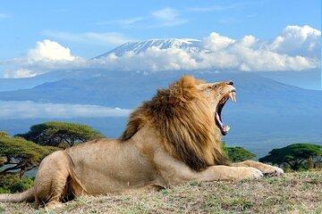 Overnight Tour to Amboseli National Park