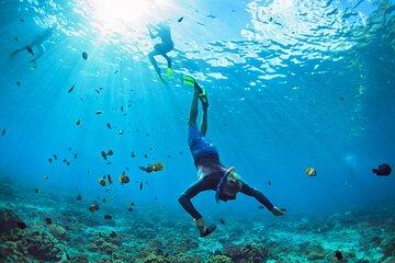 Samadai Reef Dolphin House Snorkeling boat Trip from Marsa Alam