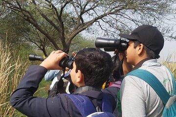 Bird Watching at Nandur Madhyameshwar Wildlife Sanctuary Nashik