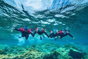 Busselton Jetty and Underwater Sculptures Snorkel Boat Tour