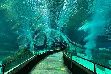AquaRio Rio de Janeiro Tickets Only
