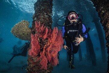 Redang Island Scuba Diving for Beginners