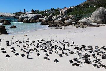 Cape Town: Cape of Good Hope, Table Mountain & Wine Tasting Tour