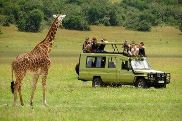 Nairobi National Park, Giraffe Center and Kobe Beads Tour