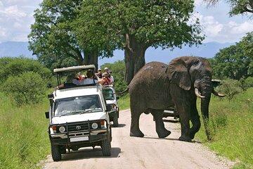 3 Days Masai Mara Classic Wildlife Safari Adventure