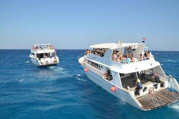 Activities on Red Sea Dolphin Watching and Lunch from Hurghada