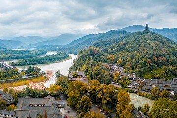 1-day tour Dujiangyan Panda Base and Dujiangyan Irrigation System