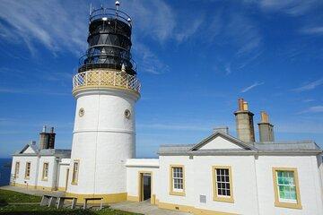 Half Day Private Tour with Puffins, Ponies and Past Shetland