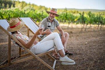 Highlights of Sète, food and wine tour