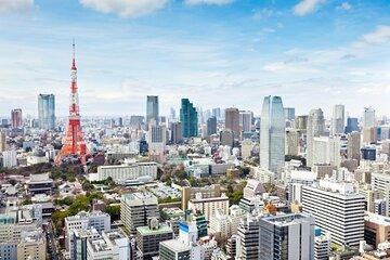Tokyo Private Tour with Licensed Guide from Disney area