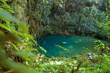 Half Day Private Bird Watching Blue Hole National Park Tour