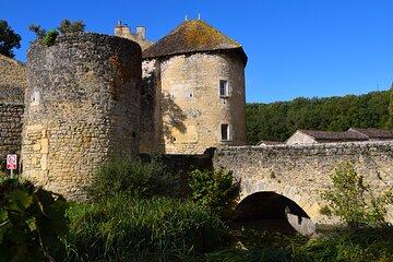 1.5 Hour Guided Tour in Poitiers