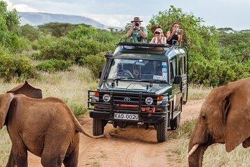 12 Days Tour of Kenya Big Five Wildlife Private Safari
