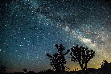Joshua Tree Private Sunset and Stars Tour