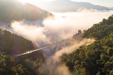 Private Day Tour from Guangzhou to Gulong Gorge-Nature &Adventure