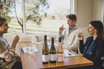 Savour with Swinging Bridge