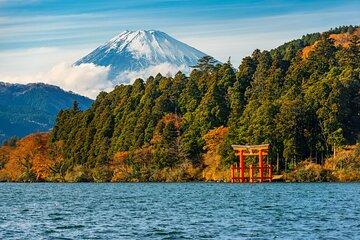 Customizable Private Full Day Hakone Tour from Tokyo