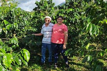 Café Experience in Bijagua