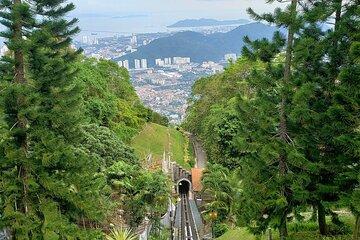 Show Wonderful of Butterflies & Botanics in Private Tour - Penang