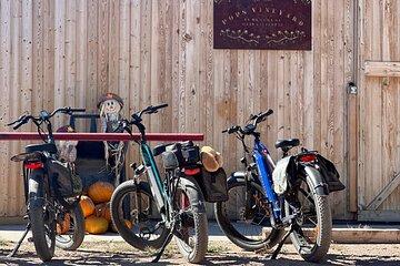 EBIKE Winery Tour in Penrose, Colorado: Penrose Uncorked