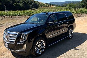 Luxury Wine Tour in Paso Robles, with a Winemaker