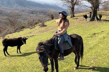 Private Horse Trek to Natural Hot Springs in Azerbaijan