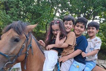 Private Cowboy Roundpen Experience in Azerbaijan