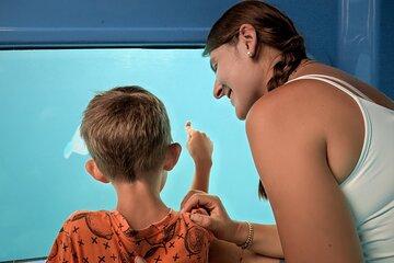 Atlantis Submarine Private Tour in Bridgetown