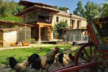 Full-Day Small-Group Tour of Bulgaria by Minivan with Lunch