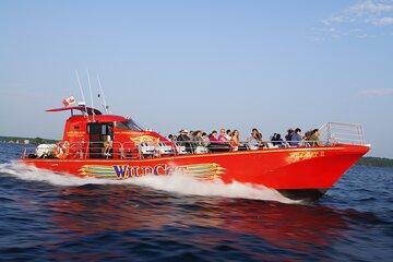 1 hour 'Singer Castle Express' Wildcat 1000 Islands Cruise