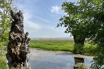 Private Guided Lebanese Cultural Tour From Beirut