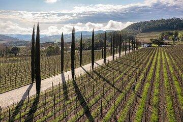 Full-Day Private Vale dos Vinhedos Wine Tour from Porto Alegre
