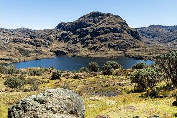 Half Day Private Tour to Cajas National Park from Cuenca